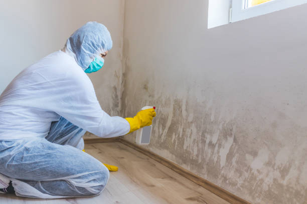 Licensed Mold Inspection service in Irvona, PA - WQB Mold Removal