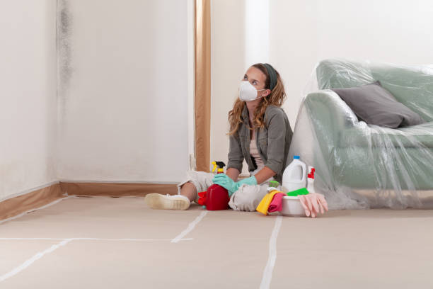 Reliable Mold Inspection contractor in Irvona, PA by WQB Mold Removal